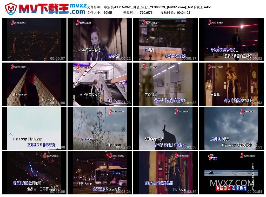 邓紫棋-FLY AWAY_国语_流行_YE300839